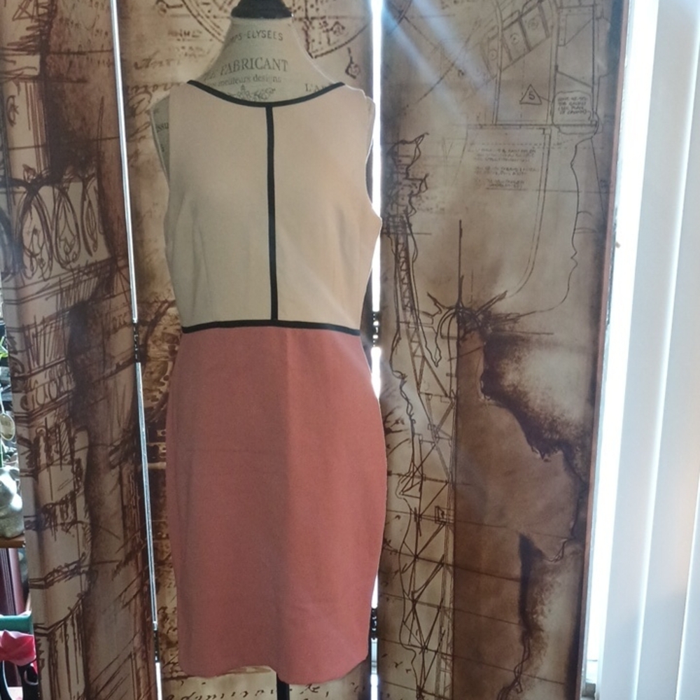 LOFT Elegant Colorblock Dress in Pink and Cream